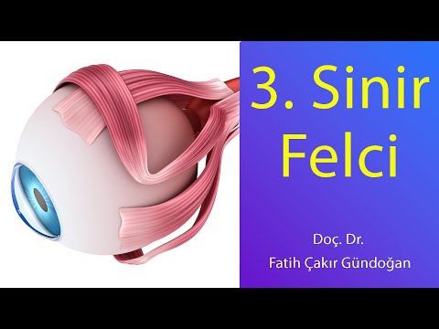 3. Sinir Felci ve Tedavisi Nasıl Yapılır?