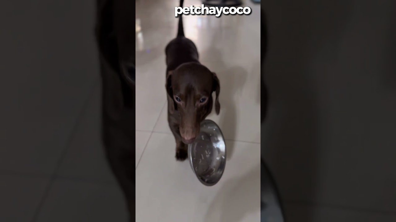 what’s his plan? 🤔🤨 