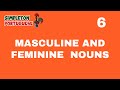 Masculine and Feminine Nouns in European Portuguese