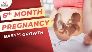 6 Month Baby Growth & Movements Inside The Womb | Fetal Development In 6 Month Of Pregnancy | Mylo