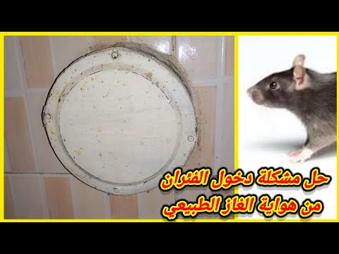 حل مشكلة دخول الفئران من هواية الغاز الطبيعي