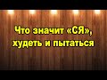 Про ся Худеть и Стройнеть