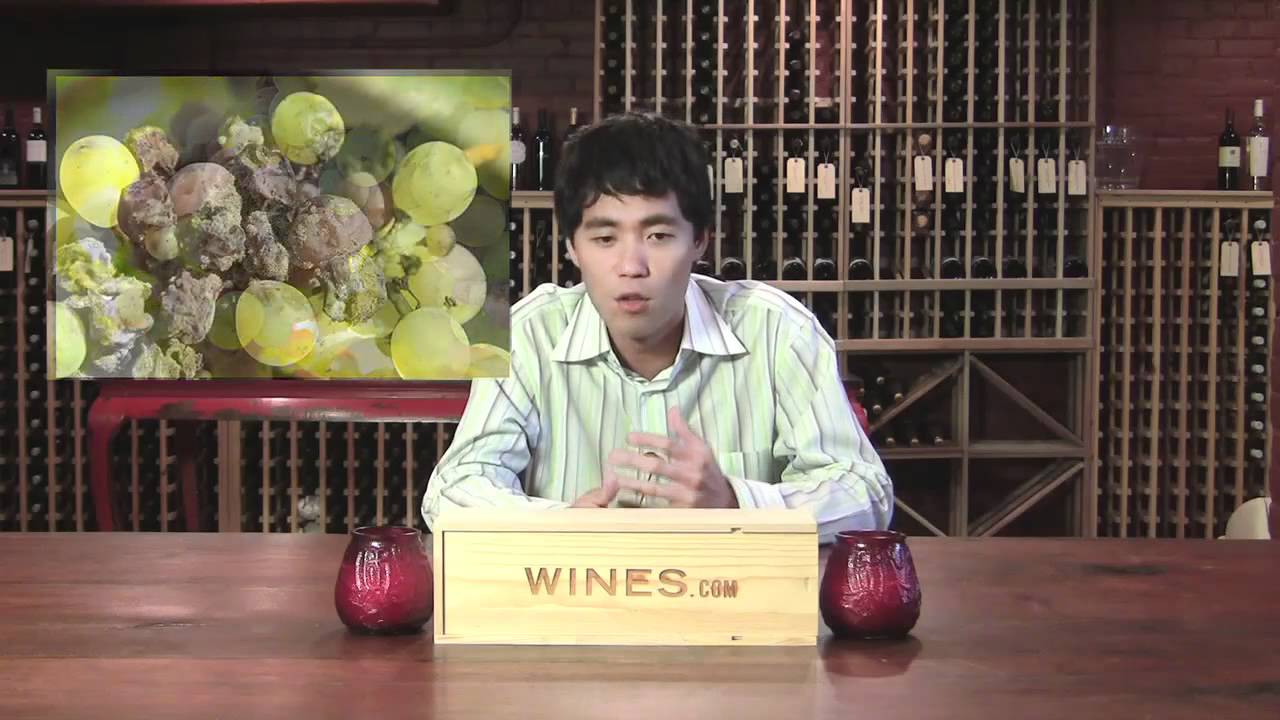 Ice Wine - Featuring Scott Ota for Wines.com TV