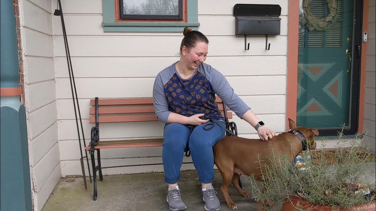 Tip Top K9 Reviews Tulsa Dog Board and Train Tip Top K9 YouTube