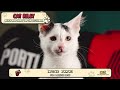 2025-26 Schedule Announced With Help From the CAT Adoption Team | Portland Trail Blazers