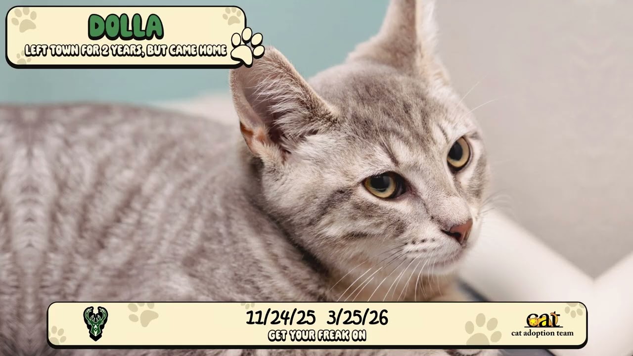 2025-26 Schedule Announced With Help From the CAT Adoption Team | Portland Trail Blazers