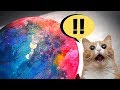 My First Time Trying Petri Art in Resin | Watch me Resin