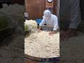 390-year history japanese noodles
