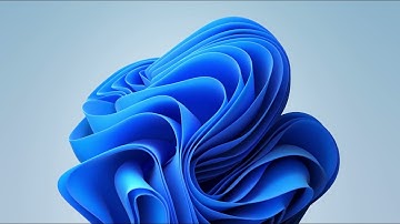 Windows 11 bloom animation