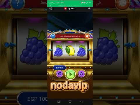 بضحك للدنيا والدنيا بتضحكلي والرزق يحب الفرحان اكسبيري الاسطوره