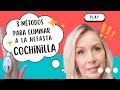 Aniquila a la cochinilla con estos 3 métodos caseros