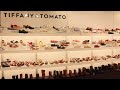 Tiffany &amp; Tomato Footwear Made in Turkey for Export - YeniExpo Aymod