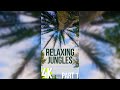 Amazing jungles and palm trees  4k tropical ambience for vertical screens  episode 1