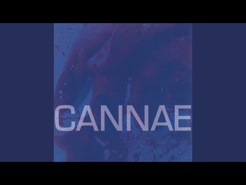 Cannae — Symmetry of Fear