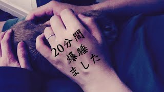 鈴虫の音色で眠くなるうさぎと飼い主 #550