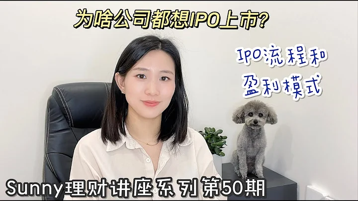 为啥公司都想上市？｜IPO上市流程和盈利模式 - 天天要闻