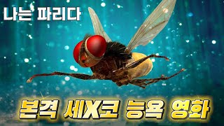 본격 세X코 능욕 영화 / 나는 파리다 / 펜펜의 인도영화 답사기 | 무비프레스 2.0