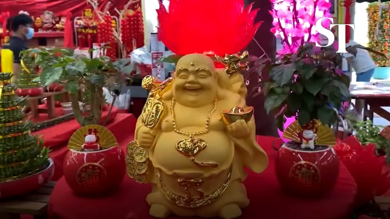 Festive Chinese New Year plants to welcome the Year of the Tiger