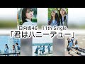 日向坂46『君はハニーデュー』【歌詞】【文字起こし】