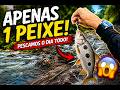 PESCARIA EM RIO, O DIA TODO PESCANDO
