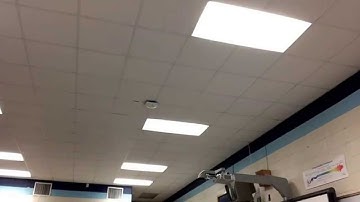 Lesson 8 day 3 level 2 summation and connection.