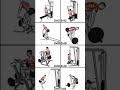 Powerful Back Workouts #shorts