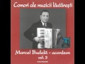 Marcel Budală - acordeon - Hora nuntașilor