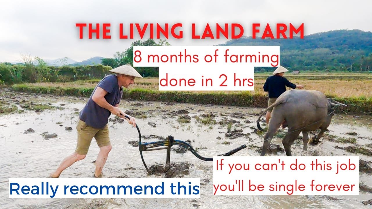 Things to do in Luang Prabang