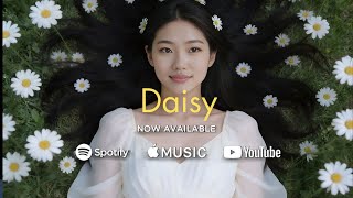 Daisy | Ace