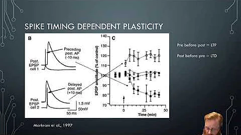 Neural Plasticity 6 - STDP