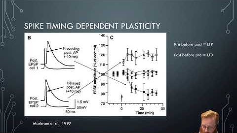 Neural Plasticity 6 - STDP