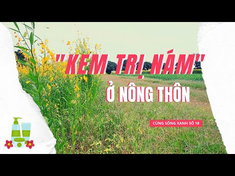 Video: Lá Gừng Của Tôi Bị Nám - Nguyên Nhân Làm Lá Màu Nâu Trên Cây Gừng