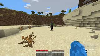 Minecraftta hasar alırsam video biter...