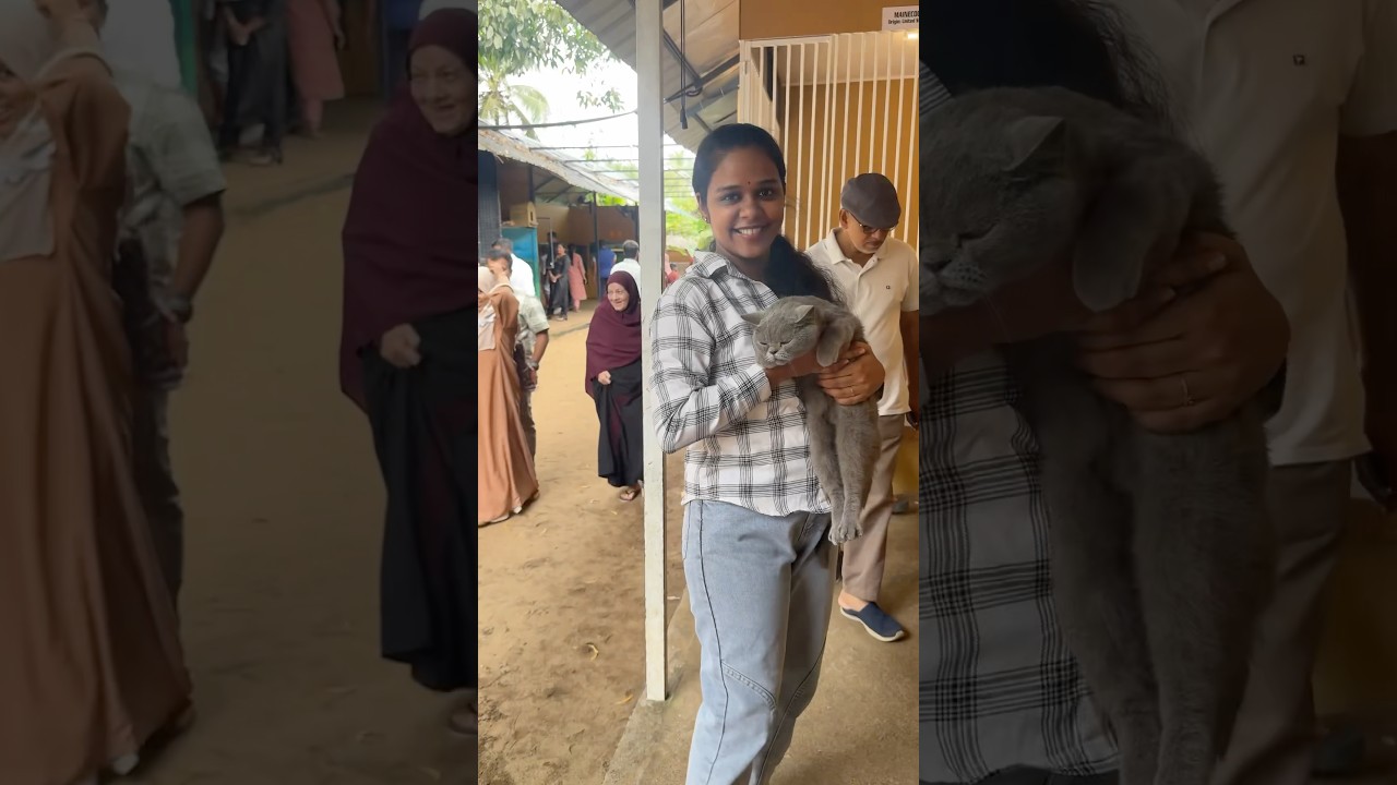 Farm villa 🩷 full video on my channel 🫶