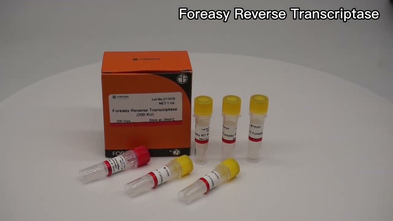 MMLV High Performance Reverse Transcriptase Kit