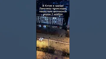 Нашествие миллионов ворон в Китае в городе Ланьчжоу.
