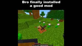 Finally, a good mod.  #gaming #graphics #funny #memes #Minecraft
