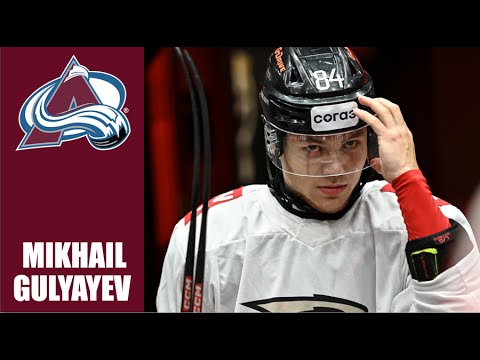 Mikhail Gulyayev 2024 25 Highlights