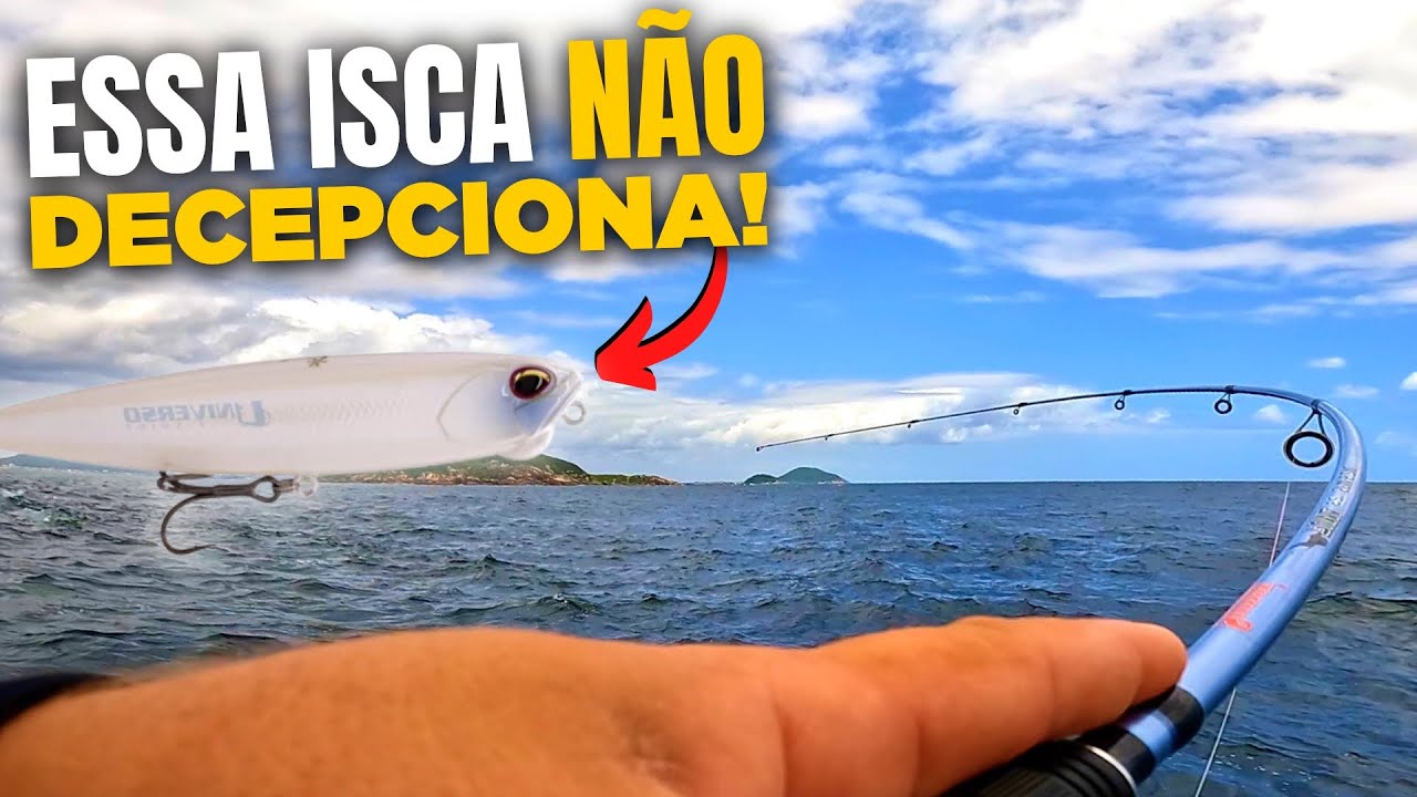PESCARIA SENSACIONAL com ISCAS de SUPERFÍCIE e JIG HEAD em ALTO MAR ...