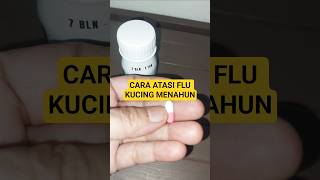 CARA ATASI FLU KUCING MENAHUN #catlovers #channelmamir