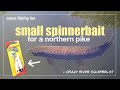 This $2 Spinnerbait Can Catch A Pike! (Johnson Beetle Spin)