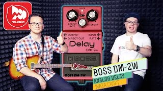 BOSS DM-2W - аналоговый Delay. Гитарный видеоблог #3