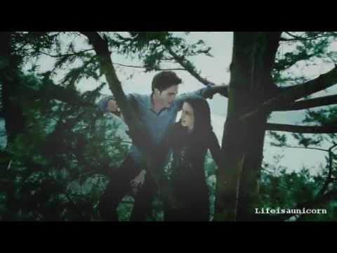 Twilight{{Bella&Edward}}