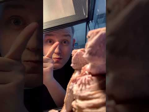 Маленький дракон