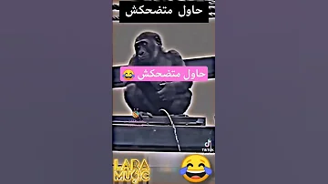 رح تضحك يعني حتظحك اكسبلور تيك توك اكسبلور دويتو Live Duet ترند Duo تيك توك ضحك 