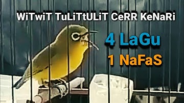 PLECI NEMBAK PANJANG 1 NAFAS 4 LAGU,SANGAT COCOK UNTUK MASTERAN G12 || JOKEN - FAUZI NV88