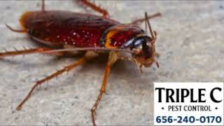 Triple C Pest Control Management Tampa FL
