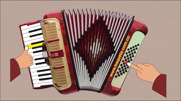 Feliz Cumpleaños acordeón Teclas