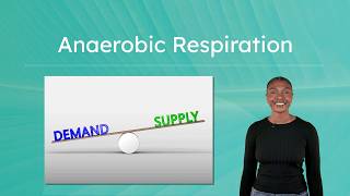 Anaerobic Respiration - How Cells Make ATP Without Oxygen