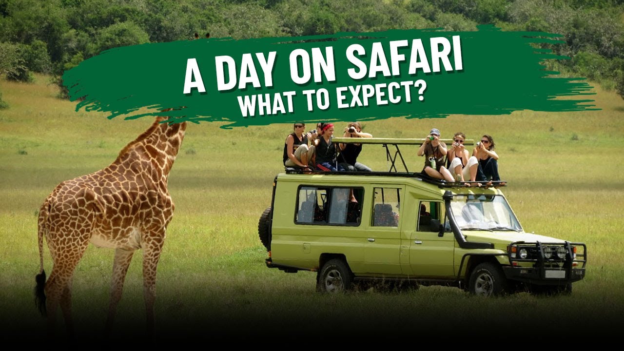 What to Expect: A Typical Day on Safari in Africa? - YouTube